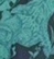 黑豹迷蹤