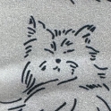 長毛貓(白)