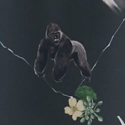 亞哥花園-猩猩(黑綠色)