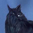 黑貓(藍底)